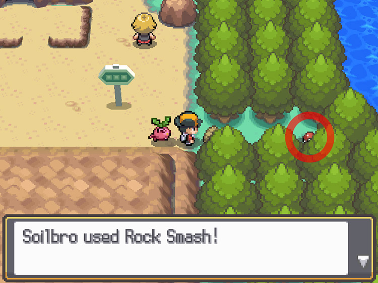Using Rock Smash to access the area. / Pokemon HGSS