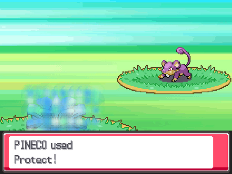 A Pineco using Protect in a battle / Pokemon HGSS