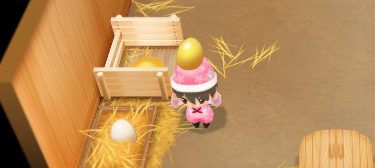The farmer places an Egg into the incubator. / Story of Seasons: Friends of Mineral Town