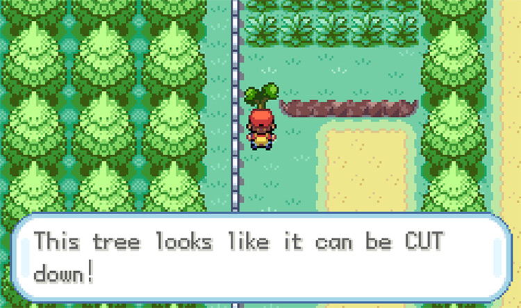 Cutting down the tree to get to the tall grass on Route 15 / Pokémon FireRed and LeafGreen