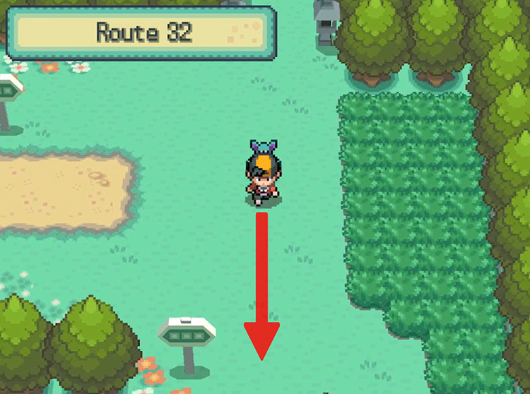The three-way intersection that leads into Route 32. / Pokémon HeartGold and SoulSilver