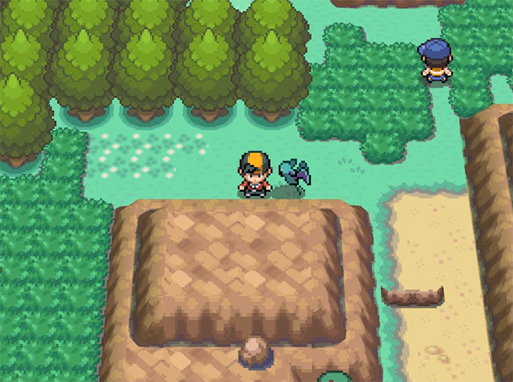 The rock splits the route for a little while. / Pokémon HeartGold and SoulSilver