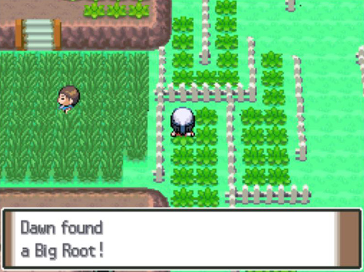 Obtaining the Big Root. / Pokémon Platinum