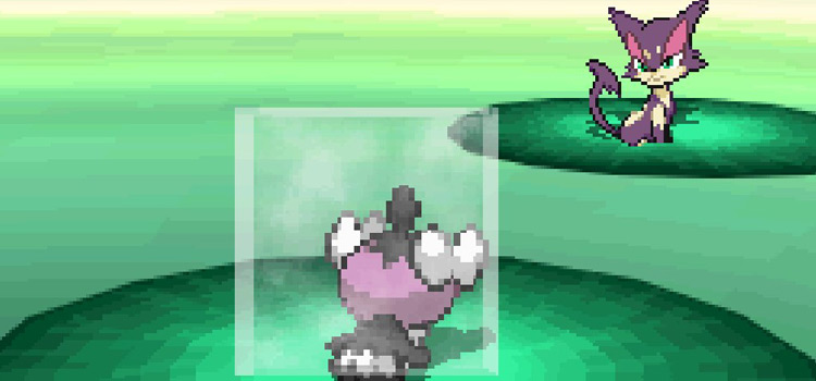 Using Light Screen in battle in Pokémon Black