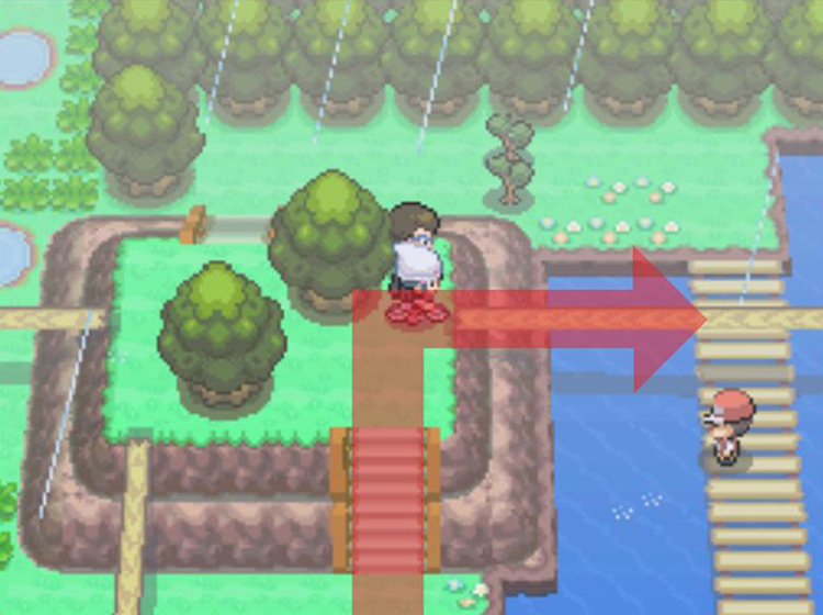 Using the Bicycle to cross the fallen log to the east / Pokémon Platinum