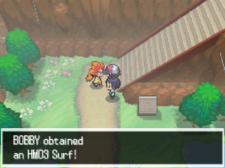 Alder giving you HM03 Surf after defeating Cheren. / Pokémon Black and White