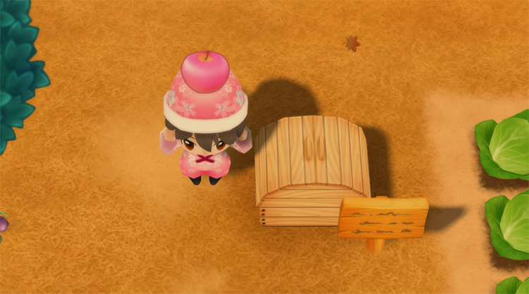 The farmer drops an HMSGB Apple into the Shipping Bin. / Story of Seasons: Friends of Mineral Town