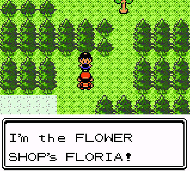 The florist’s sister is standing a couple of steps away from the wriggling tree / Pokémon Crystal