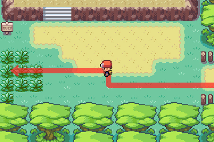 Heading west from Area 2 Entrance / Pokémon FireRed and LeafGreen