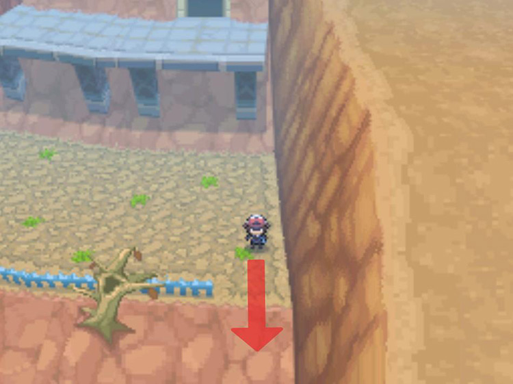 Slide down the cliff face to the second floor. / Pokémon Black and White