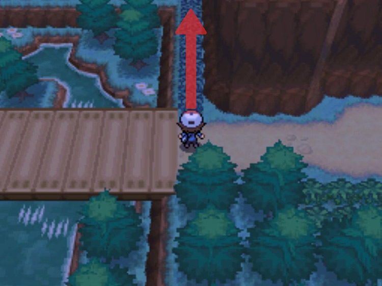 Head north at the end of the bridge. / Pokémon Black and White