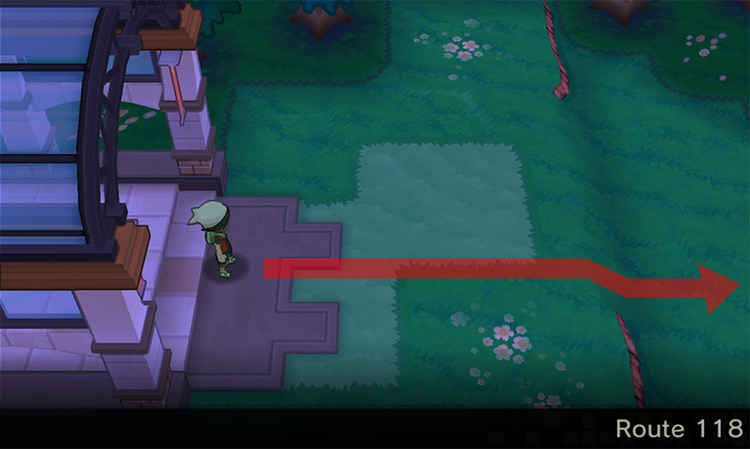Mauville City’s east entrance on Route 118. / Pokémon Omega Ruby and Alpha Sapphire