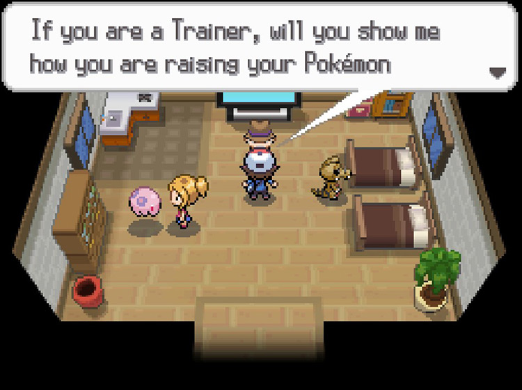 Speaking with the chairman to get an EXP Share. / Pokémon Black and White
