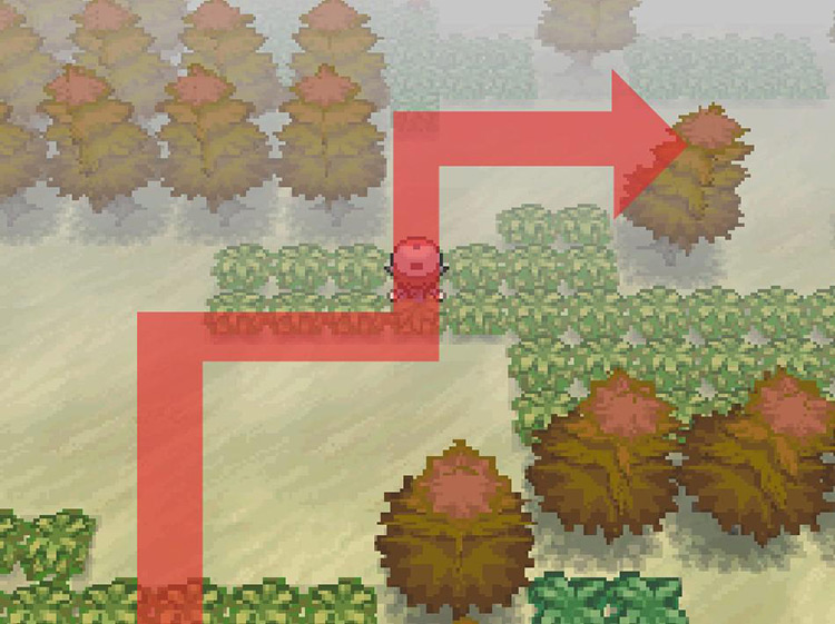 Turn east and continue through the forest. / Pokemon BW