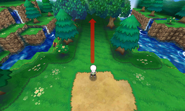 Arriving at the clearing on the north-side of the island. / Pokémon Omega Ruby and Alpha Sapphire