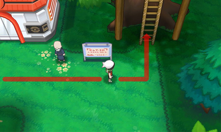 Heading east and up the rope ladder. / Pokémon Omega Ruby and Alpha Sapphire