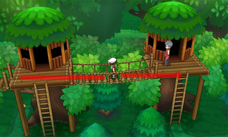 Crossing the third rope bridge. / Pokémon Omega Ruby and Alpha Sapphire