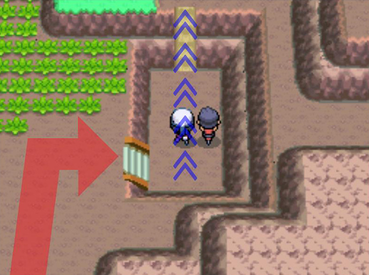 Riding the Bicycle in fourth gear to climb the muddy slope / Pokémon Platinum