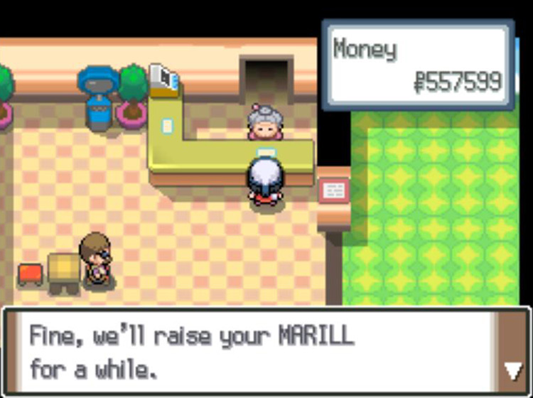 Checking Marill into the Day Care / Pokémon Platinum