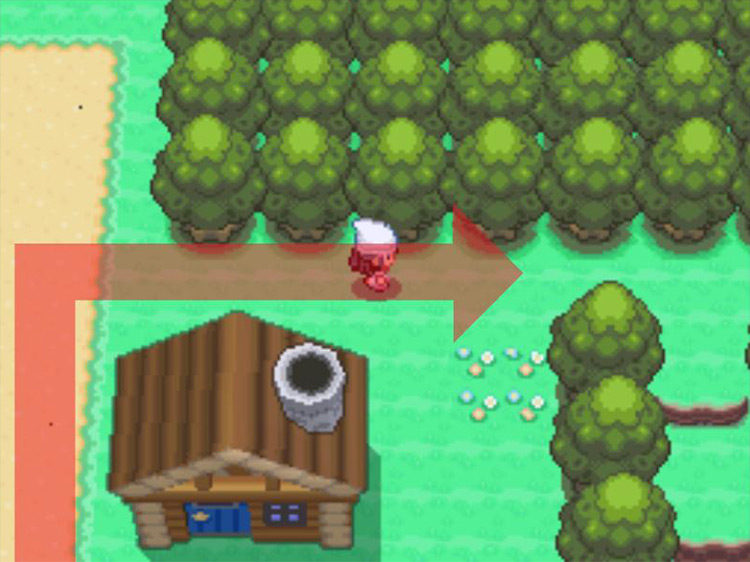 Turning eastward into the woods. / Pokémon Platinum