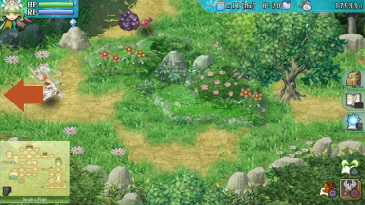 An area of Selphia Plain with an upper and a lower section / Rune Factory 4
