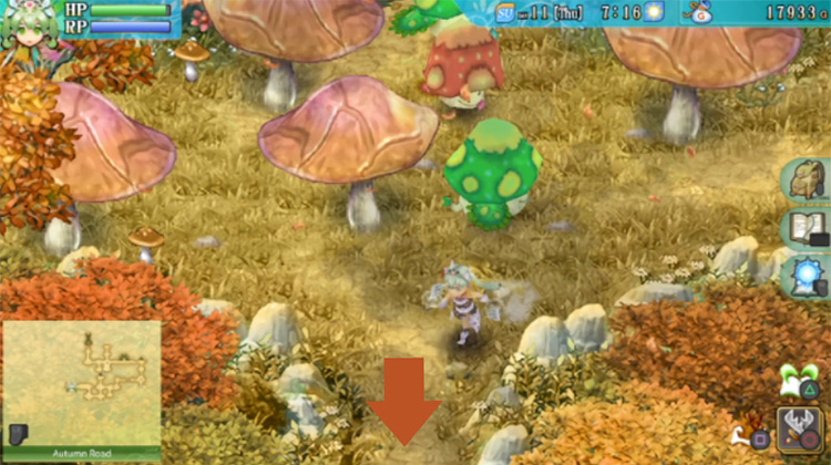 A small area in Autumn Road with giant mushrooms growing around / Rune Factory 4