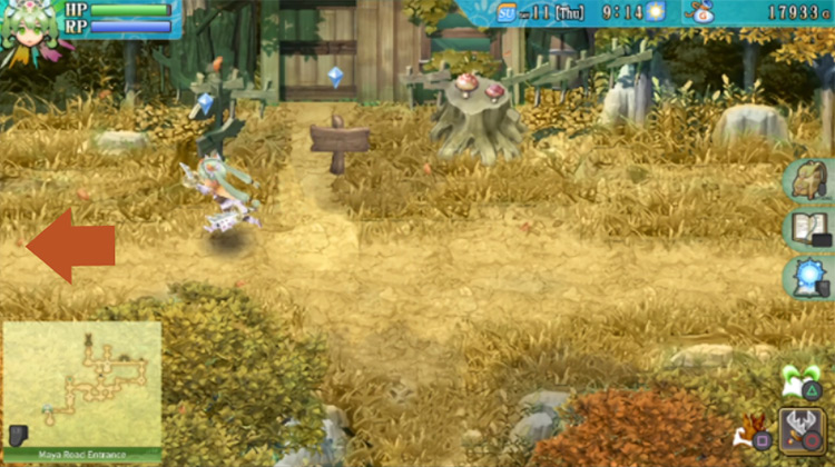 A short path along the Maya Road Entrance with a house for sale / Rune Factory 4