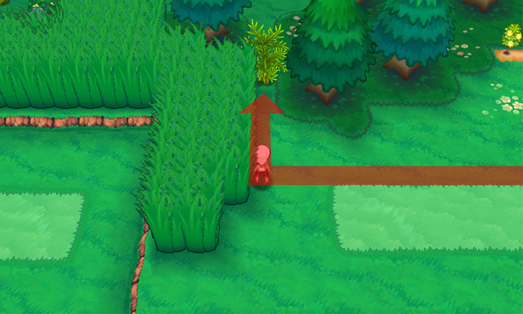 A cuttable plant obstacle on Route 123. / Pokémon Omega Ruby and Alpha Sapphire