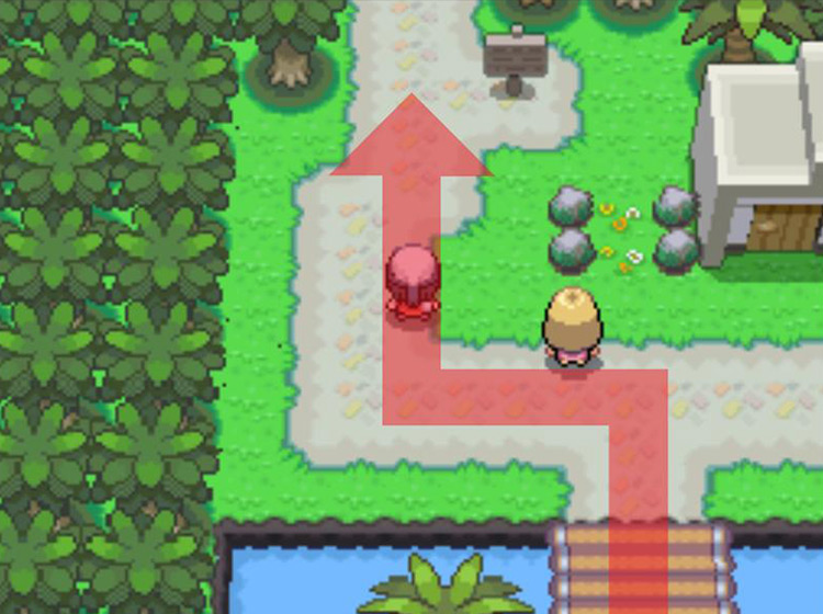 Exiting the Resort Area / Pokémon Platinum