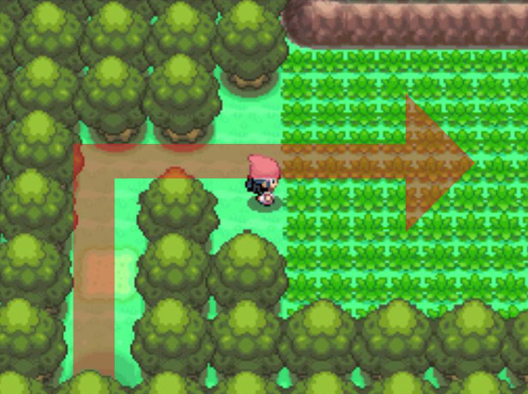 Entering the Sendoff Spring area and moving east / Pokémon Platinum