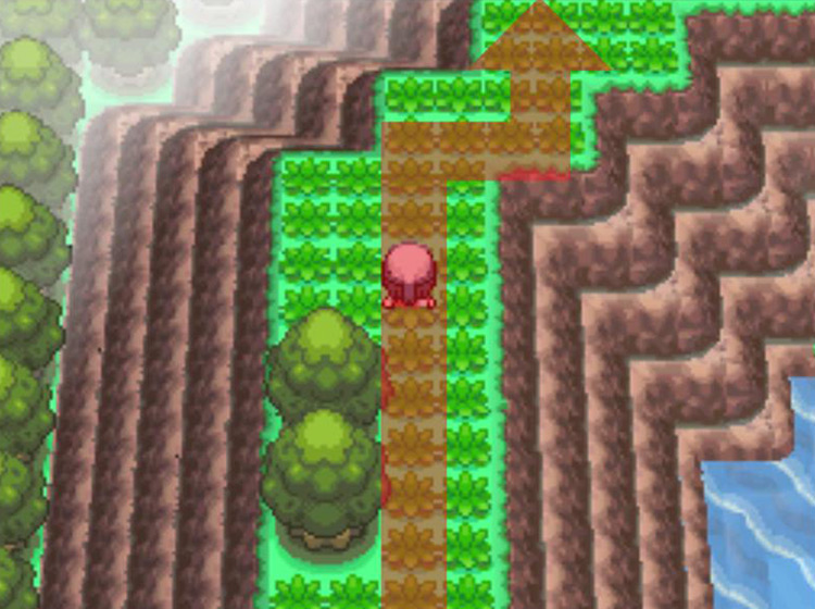 Heading toward the north edge of the circular path / Pokémon Platinum