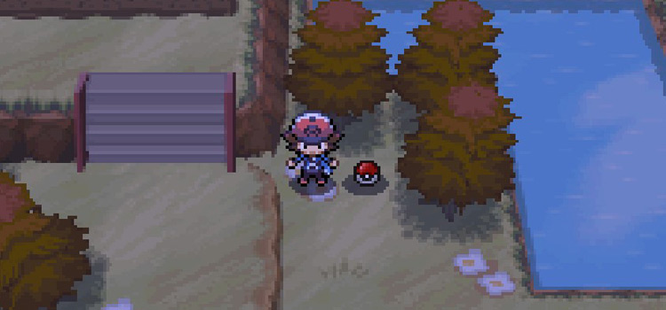The Flamethrower TM at the Abundant Shrine (Pokémon Black)