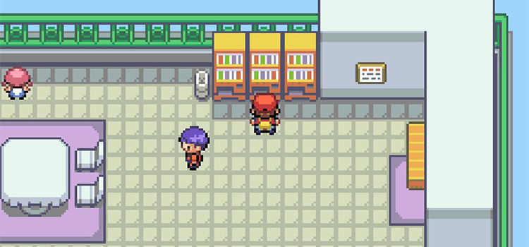 On the roof of the Celadon Dept. Store in FireRed