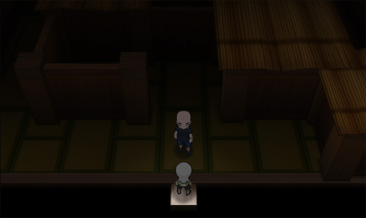 The dark maze in the Trick Room. / Pokémon Omega Ruby and Alpha Sapphire