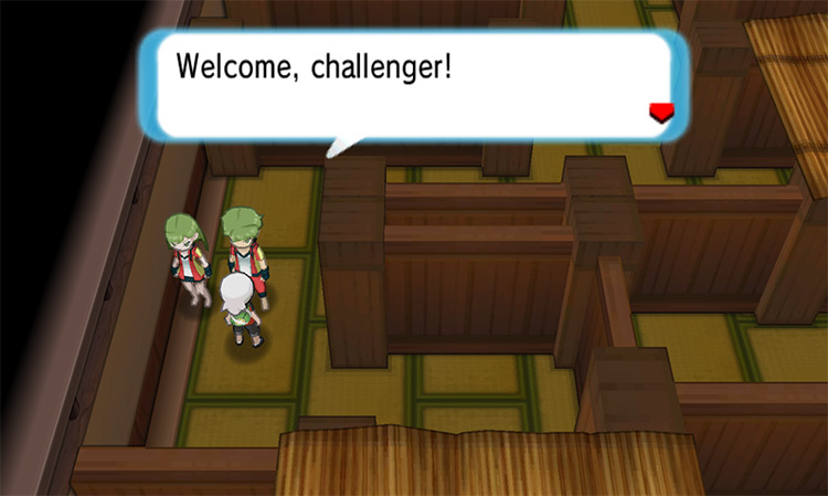 The Ace Trainer duo inside the maze. / Pokémon Omega Ruby and Alpha Sapphire