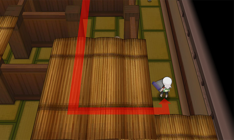 The scroll with the secret answer to the puzzle’s exit. / Pokémon Omega Ruby and Alpha Sapphire