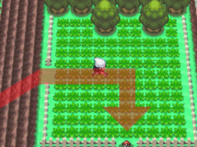 Approaching the Poké Ball item at the top of the mountain / Pokémon Platinum