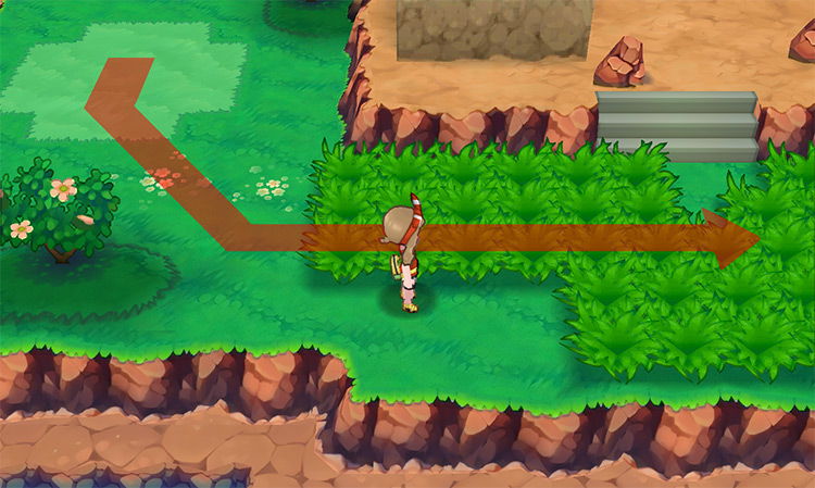 Mirage Island going into the tall grass / Pokemon ORAS