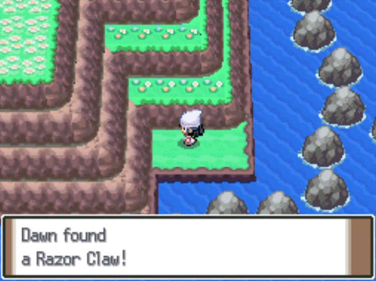 Obtaining the third Razor Claw. / Pokémon Platinum