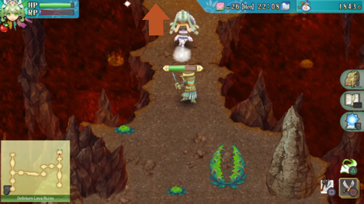 A path north of an area full of carnivorous plants / Rune Factory 4