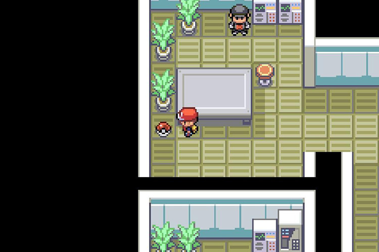 TM49 Snatch on the ground. / Pokémon FireRed and LeafGreen