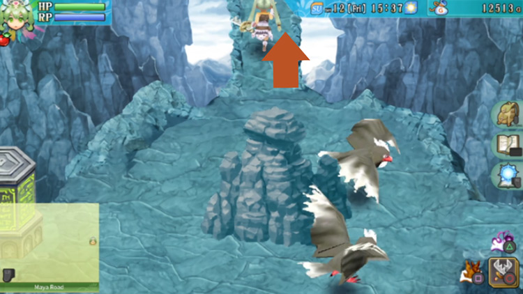 An area of Maya Road with a green pillar blocking the path on the west / Rune Factory 4