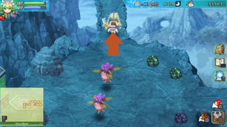 Frey heading for a path in the north along Maya Road / Rune Factory 4