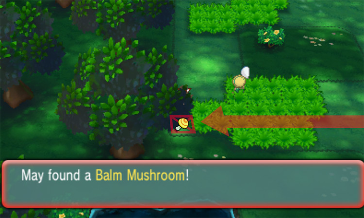 Balm Mushroom’s location / Pokémon Omega Ruby and Alpha Sapphire