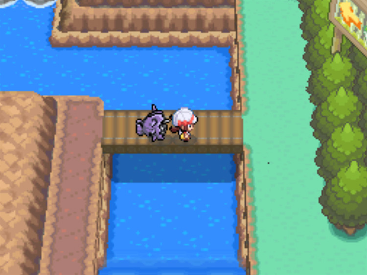 The end of the path leading left out of the previous cave's exit / Pokémon HeartGold and SoulSilver