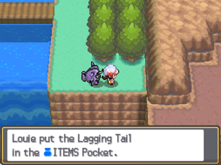 The location of the Lagging Tail on Route 47 / Pokémon HeartGold and SoulSilver