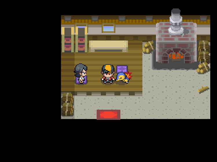 The player standing inside the charcoal cutter’s house before rescuing the Farfetch’d / Pokémon HeartGold and SoulSilver