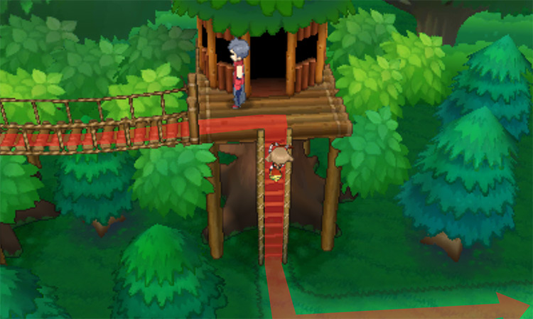 Climbing down the ladder of the tree house / Pokemon ORAS
