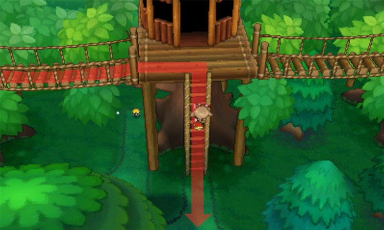 Going down the ladder that leads to the Gym / Pokémon Omega Ruby and Alpha Sapphire