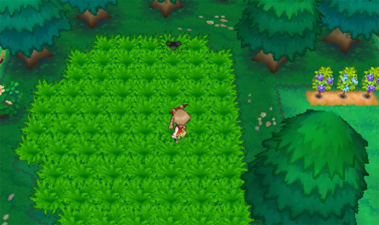 In the grass on Route 115 / Pokémon ORAS